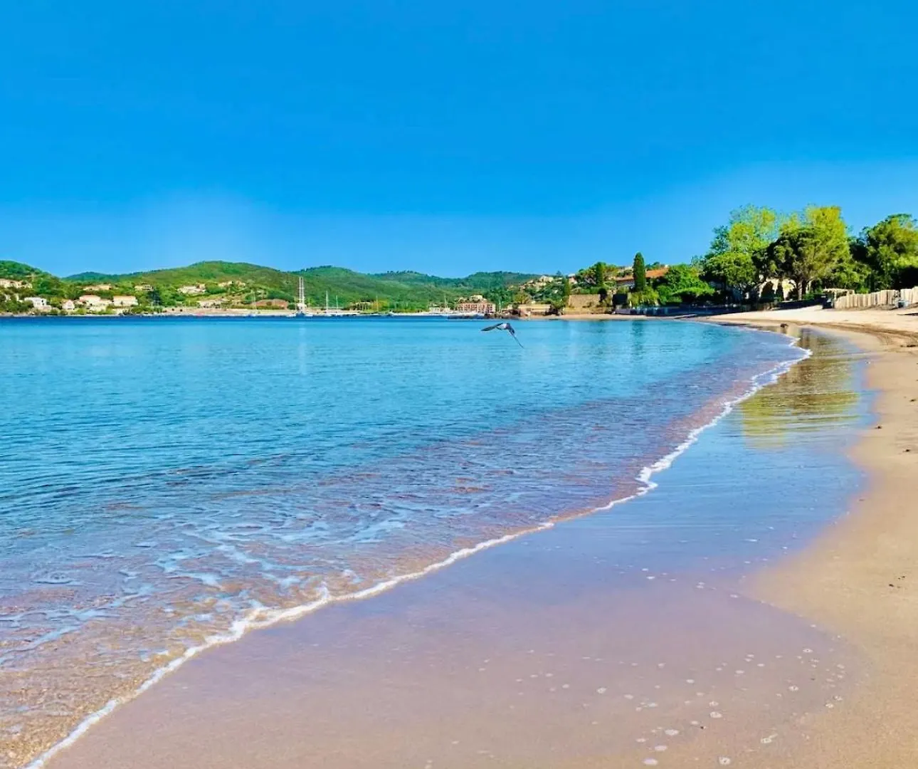 Apartment 3 Pieces Elegant - Clim Terrasse Parking - Plage Saint-Raphael  France